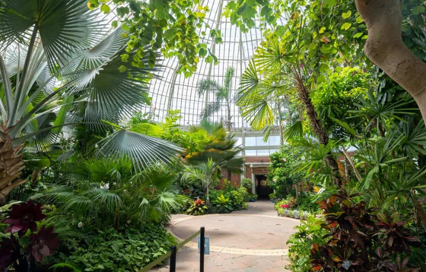 Buffalo and Erie County Botanical Gardens, United States